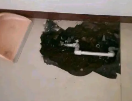 宾县卫生间测漏水多少钱